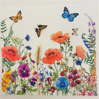 Napkin from DisposablesInc.com. The best import service in China. Import your disposable items and products from us. 